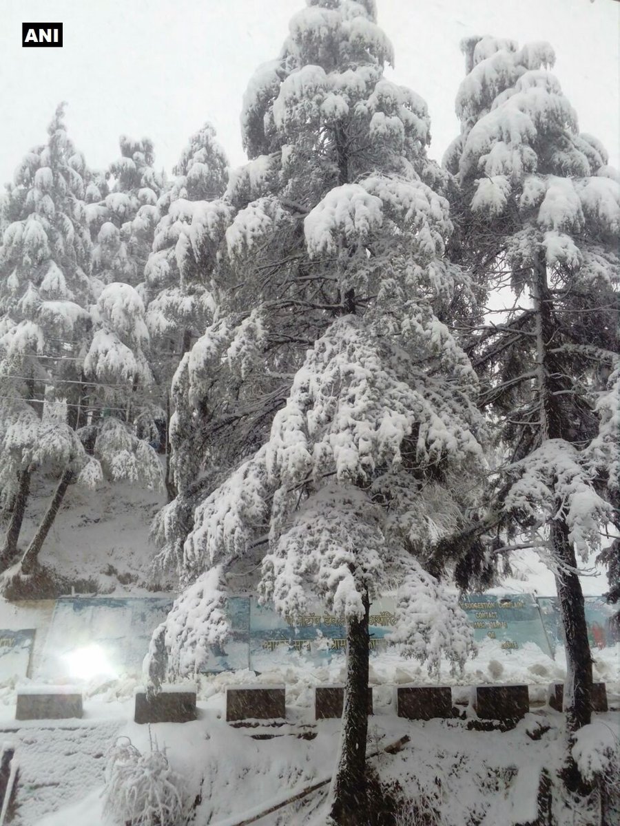 Jammu and Kashmir: Fresh snowfall in Patnitop (Udhampur)