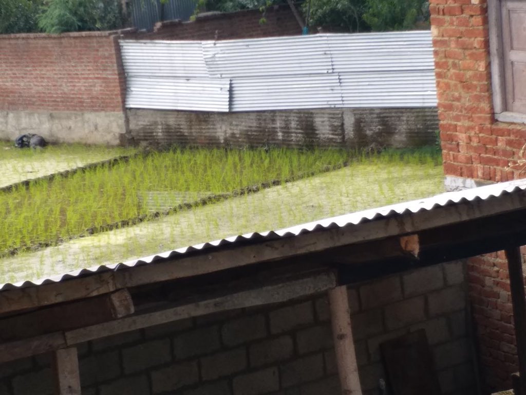 Two Lashkar militants including Kulgam District Commander Shakoor Ahmed Dar killed by security forces in Qaimooh area of Kulgam in South Kashmir. Massive success for security forces. Encounter underway as there is a possibility of a third terrorist.