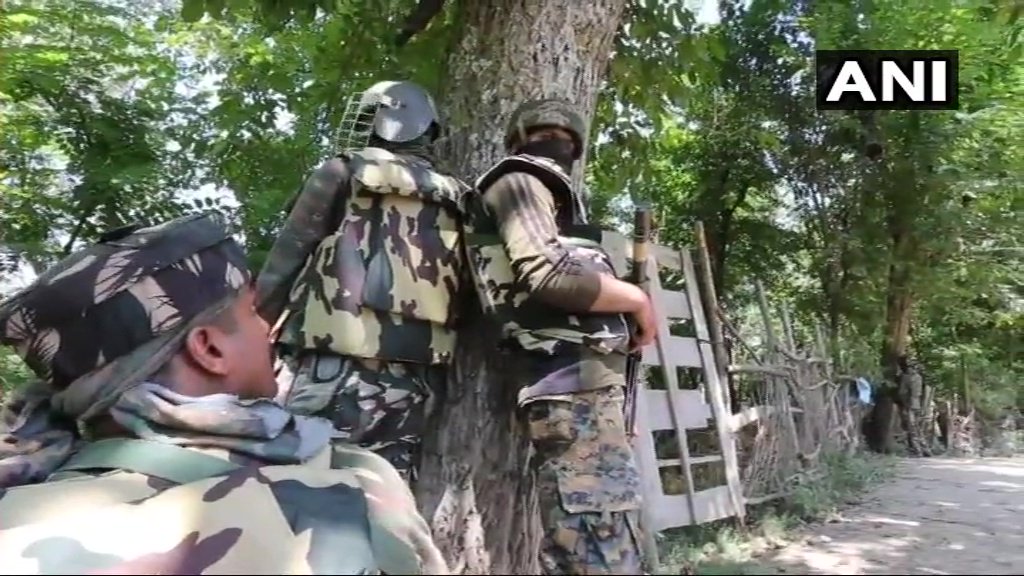 Sopore encounter: Two militants have been gunned down by security forces. Search operation continues