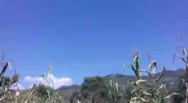 Air Space violation by Pakistan at the LoC in Poonch sector of Jammu and Kashmir around 12:10pm. Indian Army and Indian Air Force confirm the air space violation. Forces fired at the chopper.   
