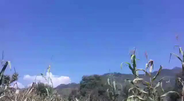 LoC properly on the boil now. Pakistan helicopter violates airspace in Poonch sector at 12.10pm. Exchange of fire during the violation too. Video  @ANI:   