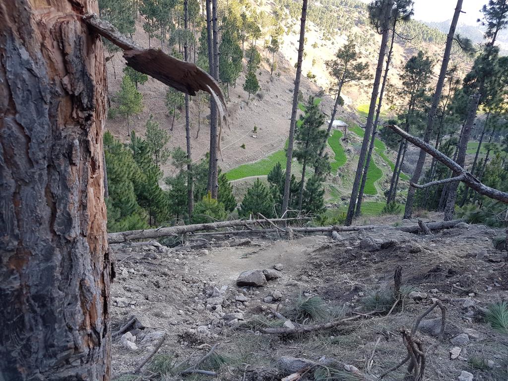 Geolocation of supposed bomb crater near Jaba, Pakistan     