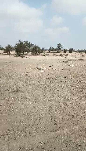 Video shows debris of some projectile is in Cholistan desert in Pakistan.     